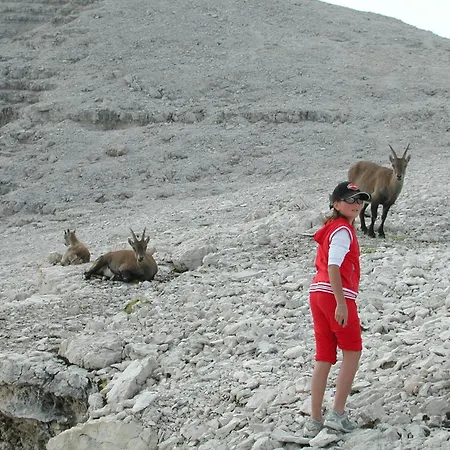 Hotel Garni Gonzaga Canazei