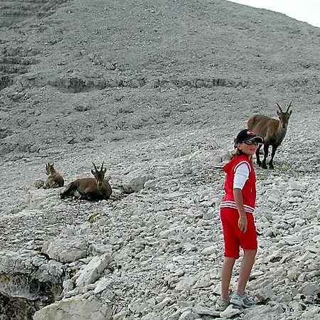 فندق Garni Gonzaga 3*