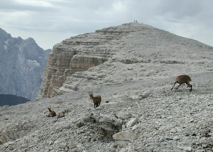 Garni Gonzaga 3* Canazei