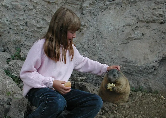 Garni Gonzaga Canazei