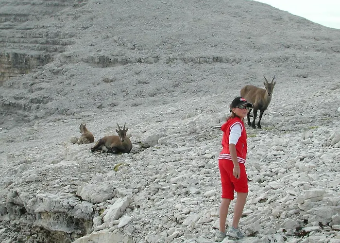 加尔尼恭瑟加酒店 卡纳泽伊